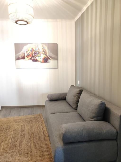 Cocon De Charline - Charme Et Elegance Dans Le Centre Apartment Montauban Bagian luar foto